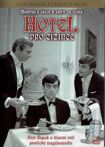 DVD Film - Hotel pro cizince - papierový obal vo fólii