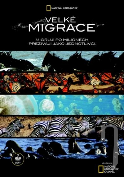 DVD Film - Kolekcia National Geographic: Velké migrace (3DVD)