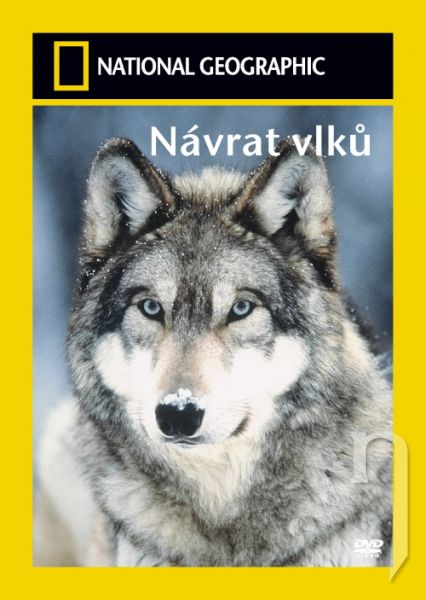 DVD Film - National Geographic: Návrat vlkú