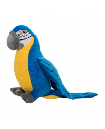 Hračka - Plyšový papoušek žlto-modrý - 40 cm
