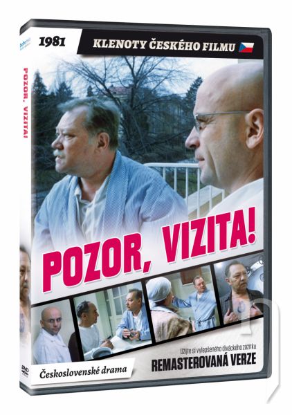 DVD Film - Pozor, vizita!