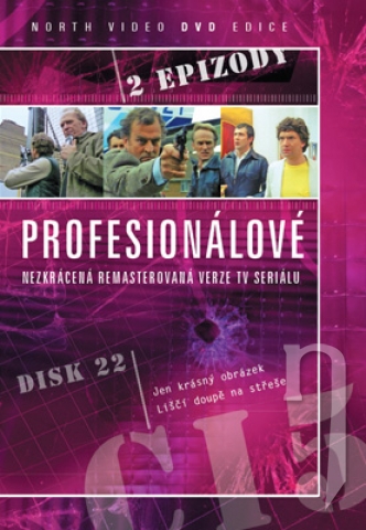 DVD Film - Profesionálové 22