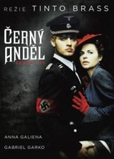 DVD Film - Čierny anjel (papierový obal)