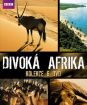 Kolekcia: BBC edícia: Divoká Afrika 6 DVD