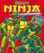 Želvy Ninja 1 - 1. série