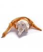 Plyšový had se slonom - Malý Princ - 60 cm