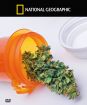 Pohled zevnitř: Léčivé vlastnoti marihuany