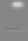 Kniha - Pred búrkou - Európa v rokoch 1900 až 1914 (z pozostalosti)