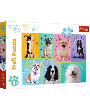 Hračka - Puzzle 100 Vo svete psov