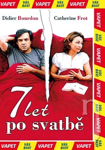 DVD Film - 7 let po svatbě