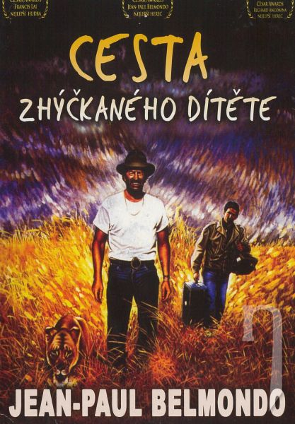DVD Film - Cesta zhýčkaného dítěte