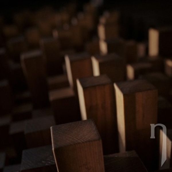 CD - Darkness Positive : We Grew