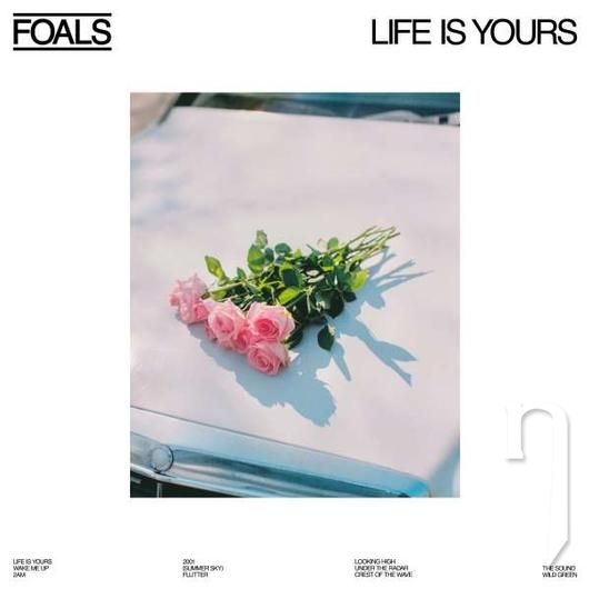 CD - FOALS : LIFE IS YOURS