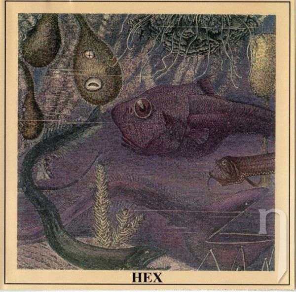 CD - Hex : Hex