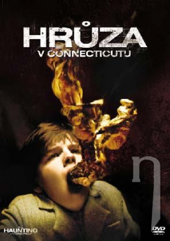 DVD Film - Hrôza v Connecticute