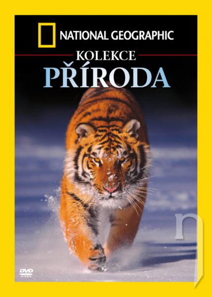 DVD Film - Kolekce: Příroda (4 DVD)