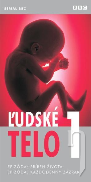 DVD Film - Ľudské telo 1: Príbeh života, Každodenný zázrak
