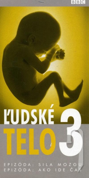 DVD Film - Ľudské telo 3: Sila mozgu, Ako ide čas