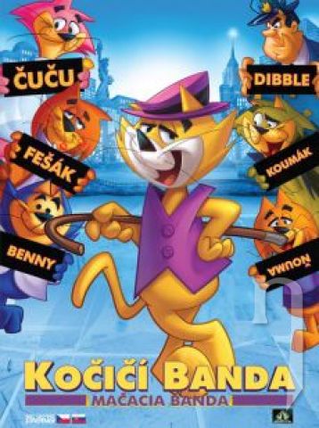 DVD Film - Kočičí banda