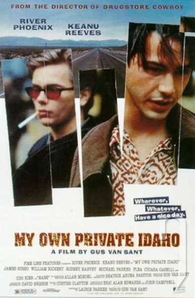 DVD Film - Moje súkromné Idaho