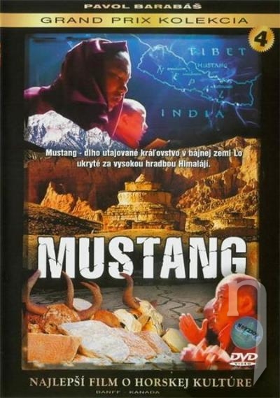 DVD Film - Mustang