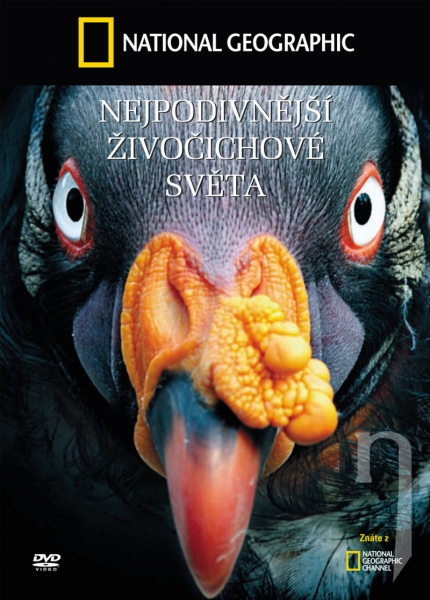 DVD Film - Nejpodivnější živočichové světa (3DVD)