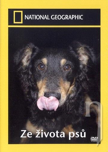 DVD Film - National Geographic: Zo života psov