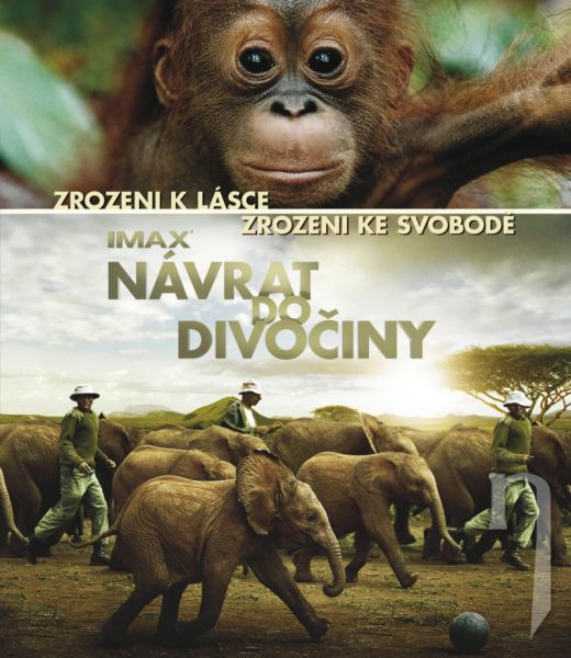 BLU-RAY Film - Návrat do divočiny
