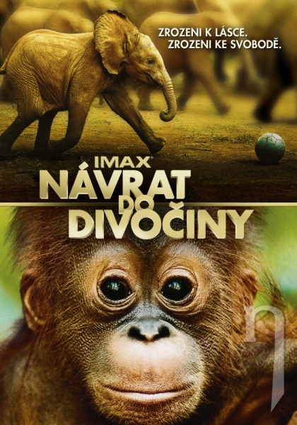 DVD Film - Návrat do divočiny