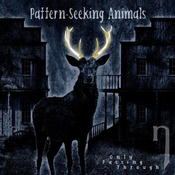 CD - Pattern-Seeking Animals : Only Passing Through / Limited Edition