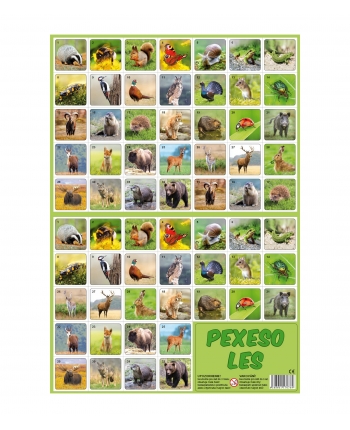 Hračka - Pexeso zvířatka z lesa -  24,5 x 34,5 cm