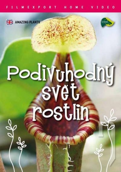 DVD Film - Podivuhodný svět rostlin (digipack) FE