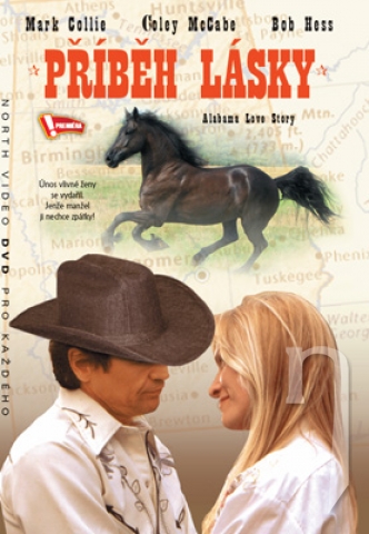 DVD Film - Příběh lásky