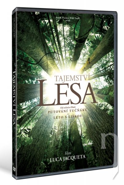 DVD Film - Tajemství lesa