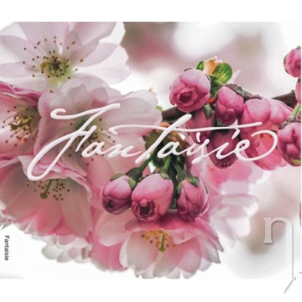 CD - Vaculová Kristina : Fantaisie