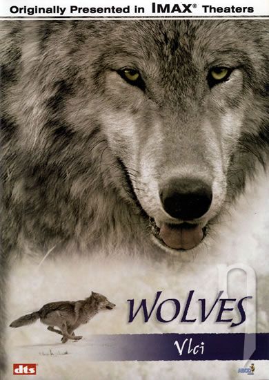 DVD Film - Vlci