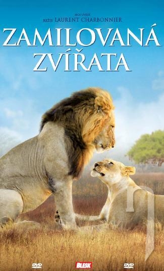 DVD Film - Zamilované zvieratá (papierový obal)