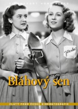 DVD Film - Bláhový sen
