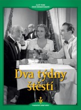 DVD Film - Dva týdny štěstí