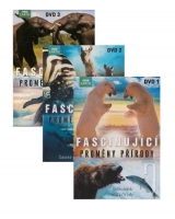 DVD Film - DVD sada: Fascinující proměny přírody (3 DVD)
