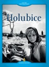 DVD Film - Holubice