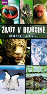 DVD Film - Kolekcia: BBC edícia: Život v divočine - 6 DVD