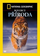 DVD Film - Kolekce: Příroda (4 DVD)