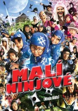 DVD Film - Malí ninjové