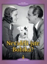DVD Film - Neviděli jste Bobíka?