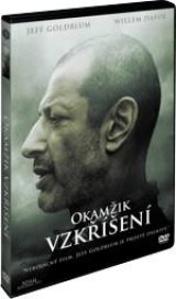 DVD Film - Okamžik vzkriesenia