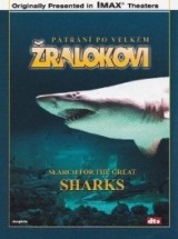 DVD Film - Pátrání po velkém žralokovi