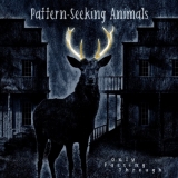CD - Pattern-Seeking Animals : Only Passing Through / Limited Edition
