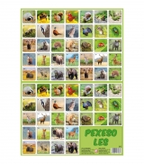 Hračka - Pexeso zvířatka z lesa -  24,5 x 34,5 cm