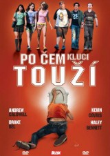 DVD Film - Po čom chlapci túžia? (papierový obal)